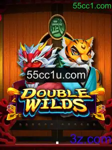 Explorando o Mundo de DoubleWilds